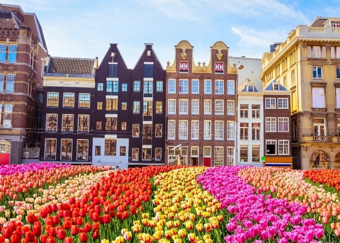 Amsterdam Building Tulips