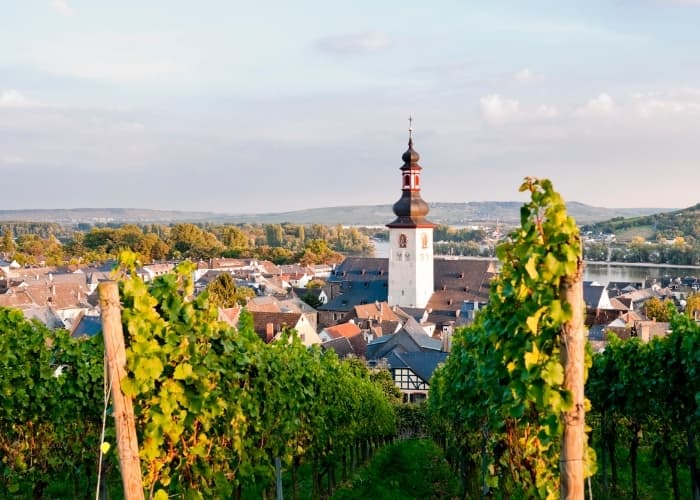 Rüdesheim Skyline