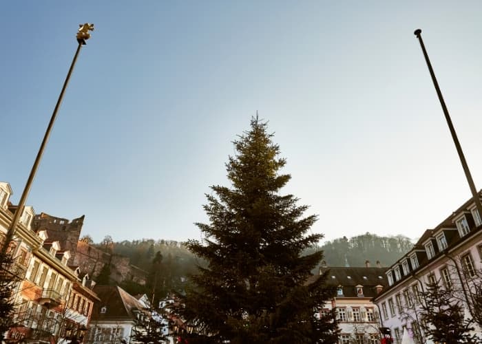 Speyer Christmas Market