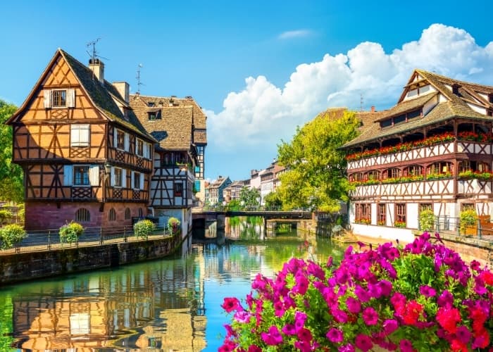 Strasbourg River Flowers