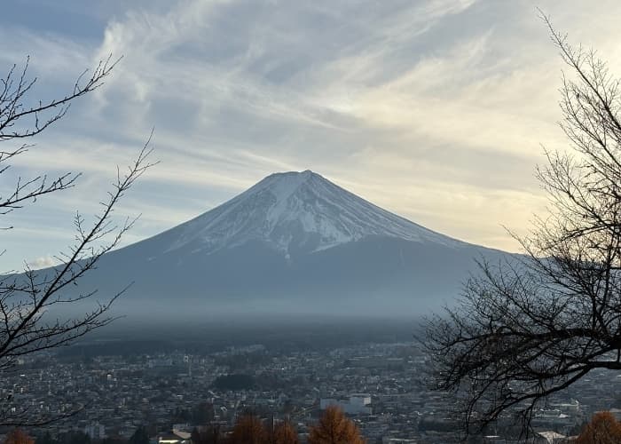 Mt. Fuji