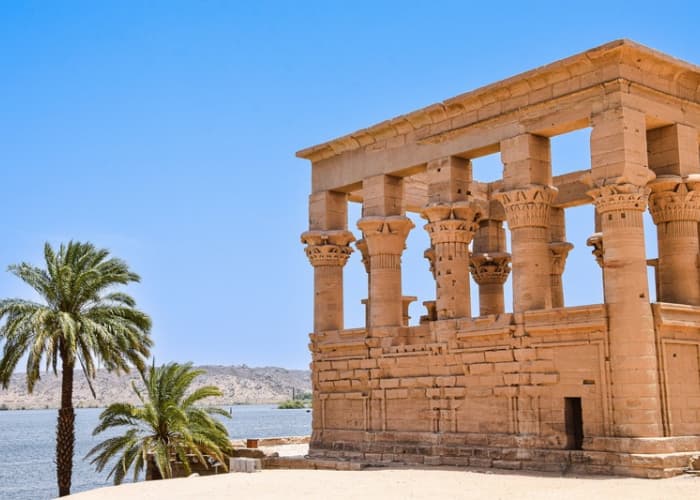 Temple Of Isis With Palm Tree