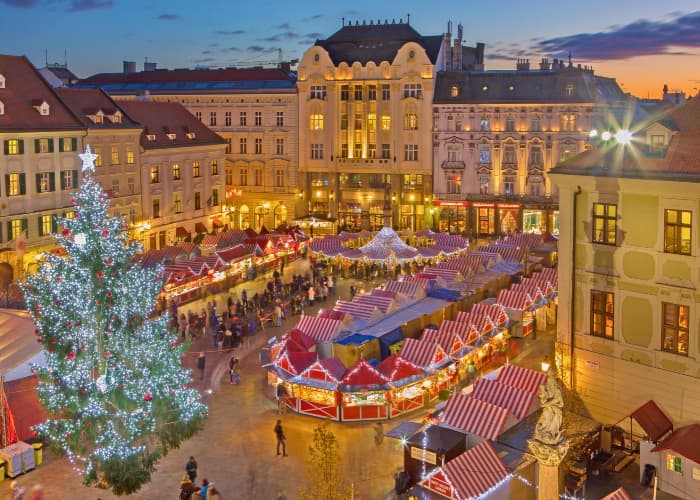 bratislava christmas market tree