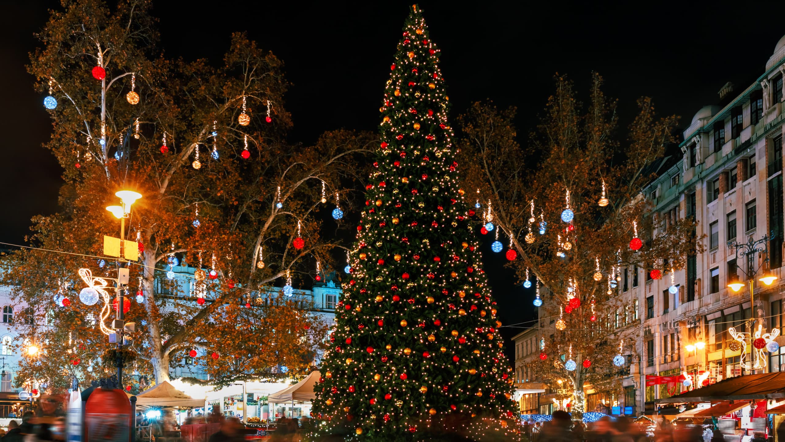 budapest christmas tree nighttime