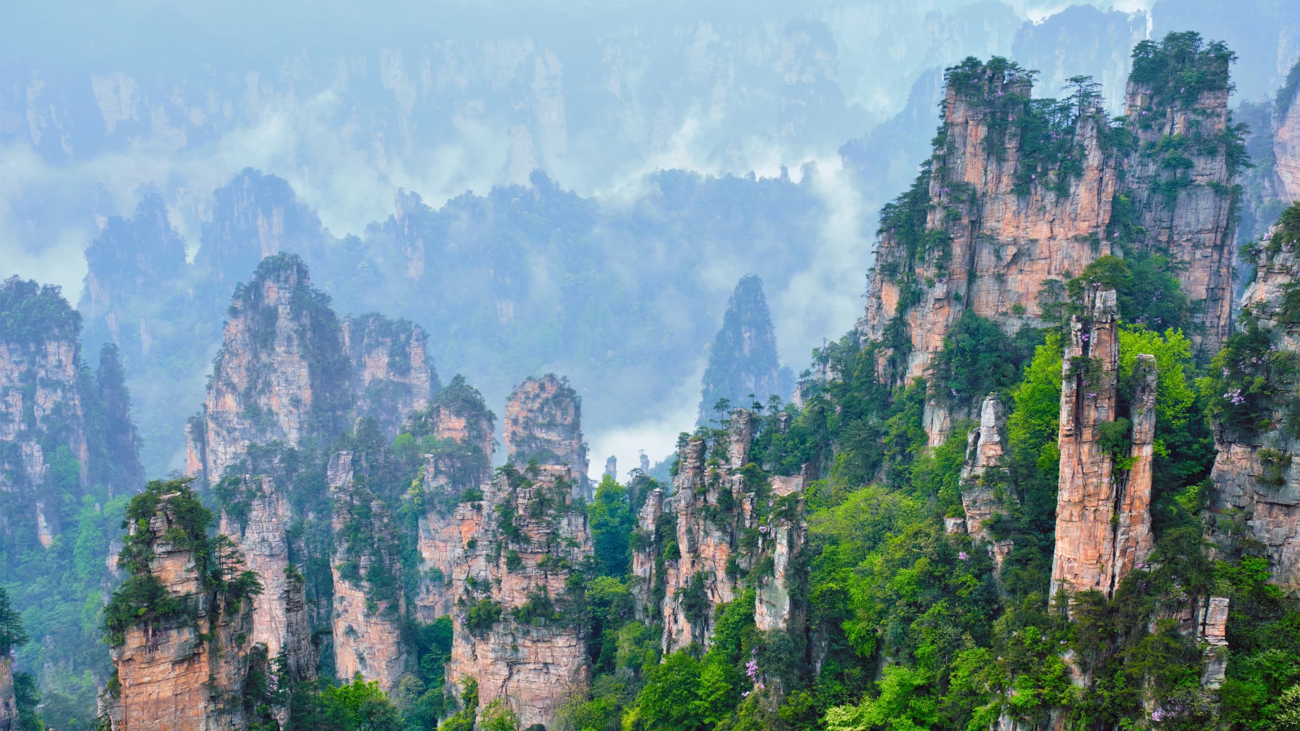 zhangjiajie park china
