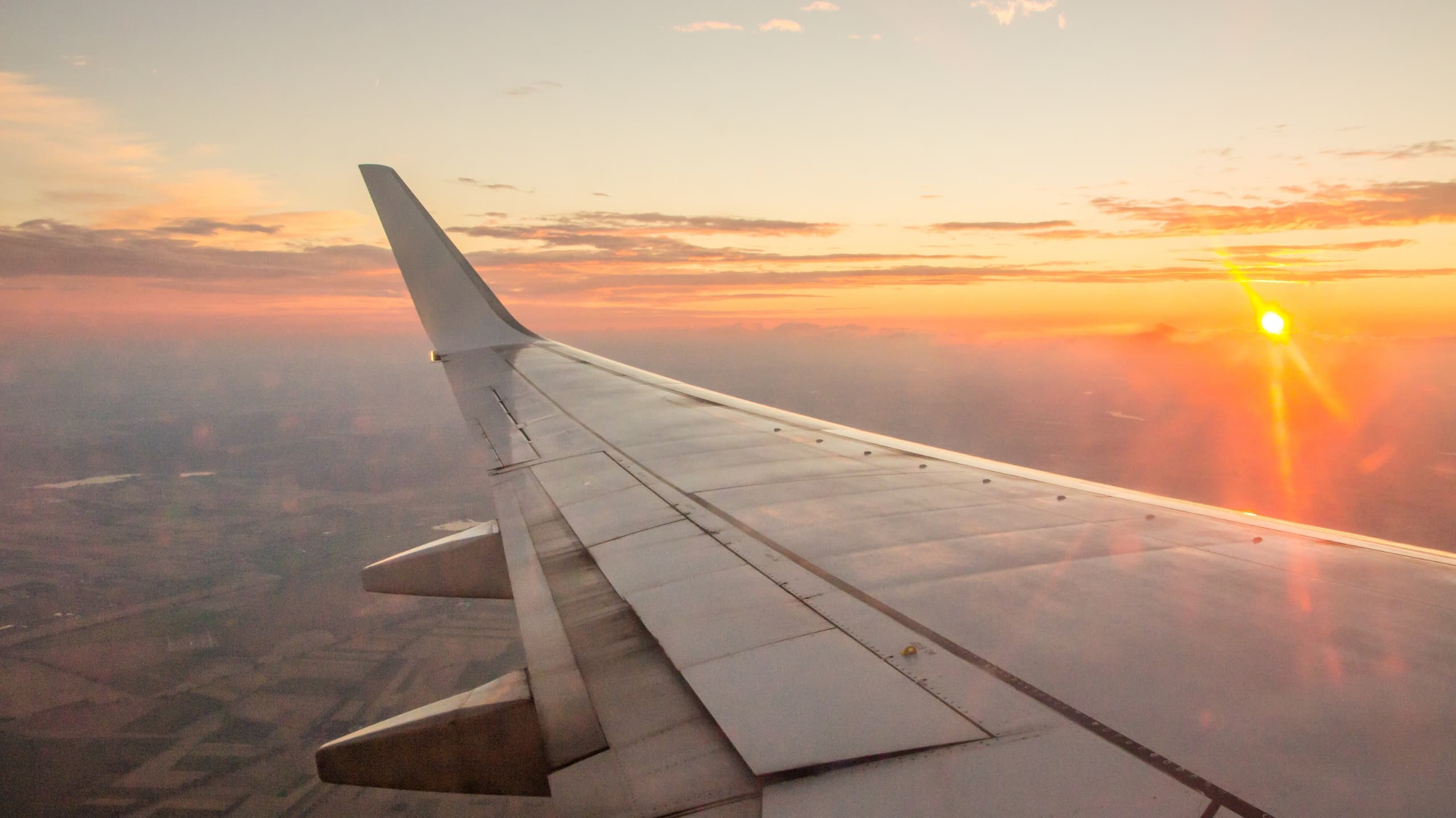 plane wing