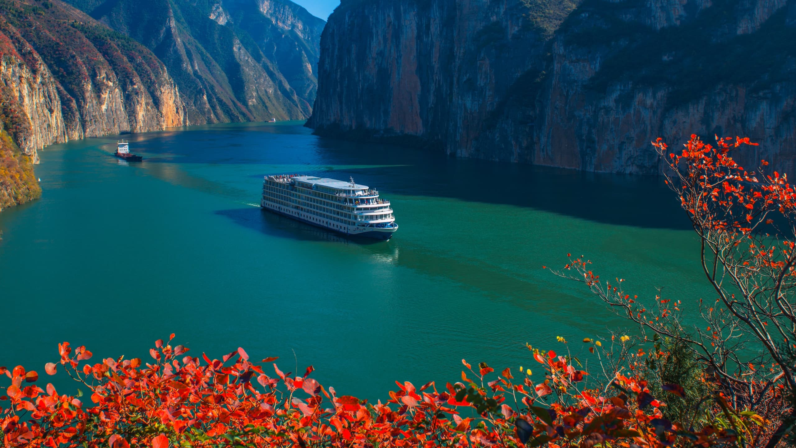 Century Cruises ship from afar with red leaf tree
