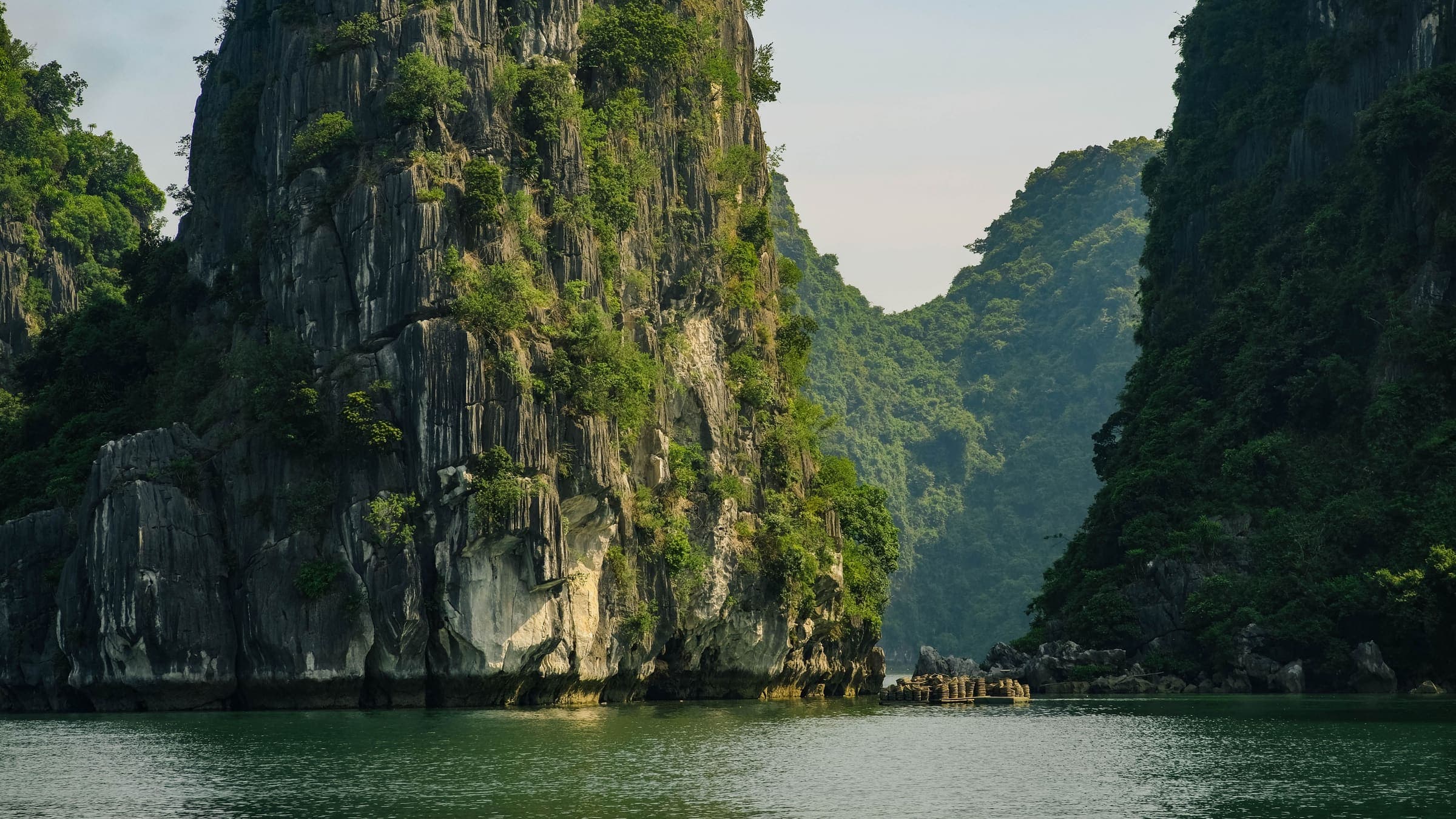 Limestone karsts rising sheer from the green water of Ha Long Bay